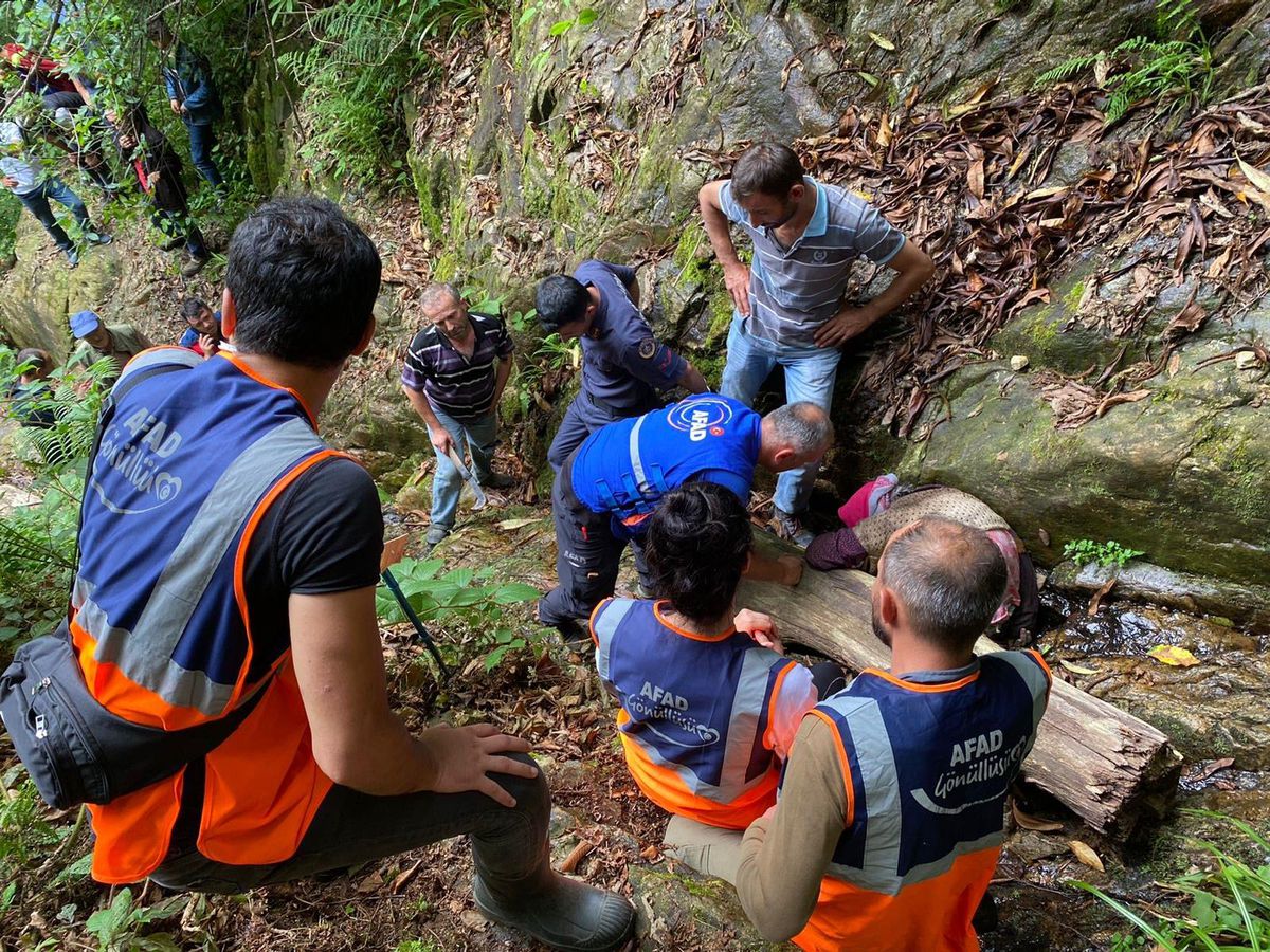 Giresun\'da kaybolan kadın düştüğü uçurumda yaralı bulundu