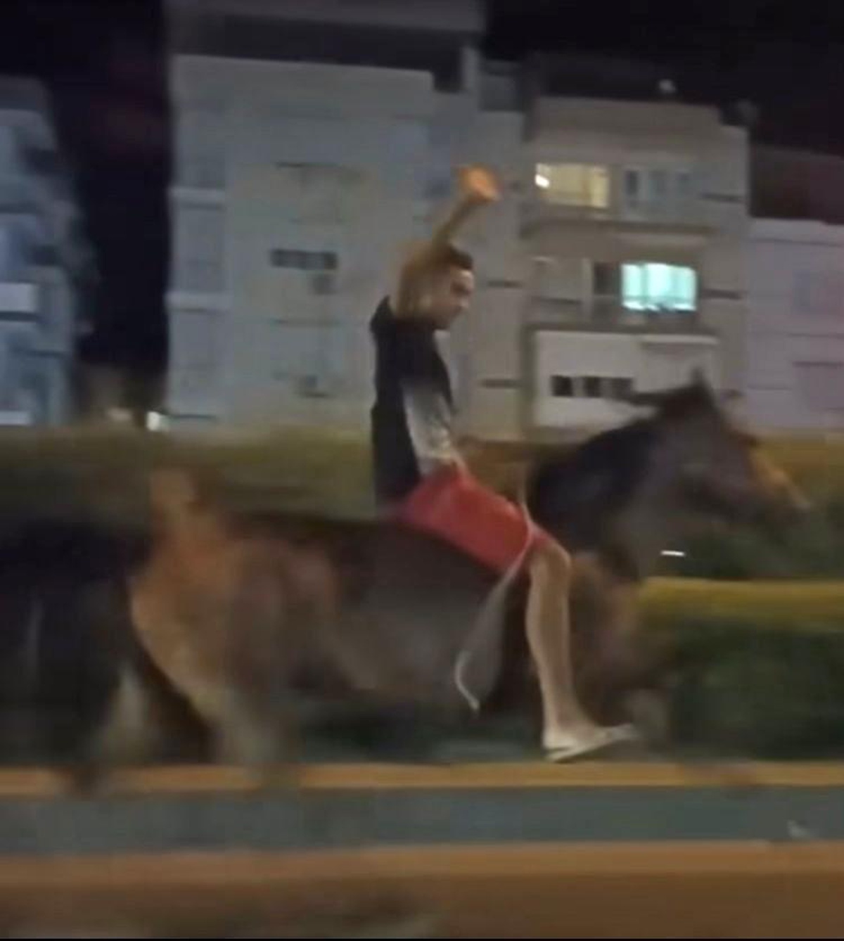 İzmir\'de at sırtında trafiğe çıktı