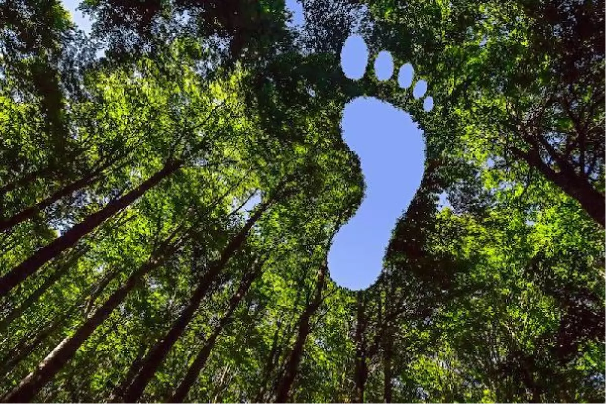 Karbon ayak izini sıfırlayan kripto projesi geliştirildi