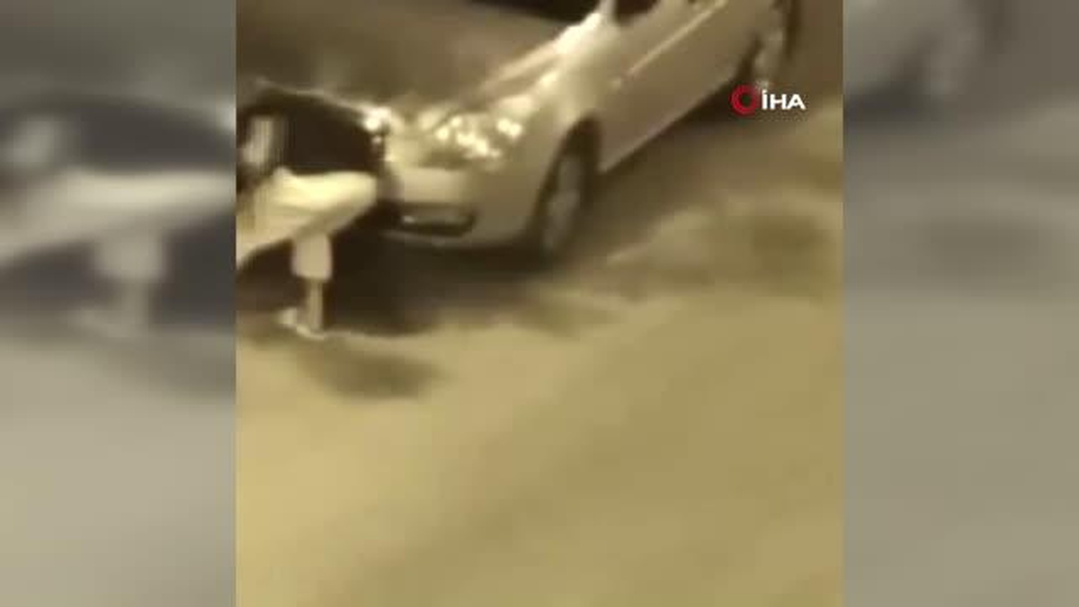 Köpeğini tekmeledi, yetmedi kaldırıp yere savurdu