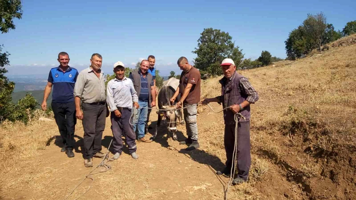 Kurbanda kaçtı, 26 gün sonra yakalandı