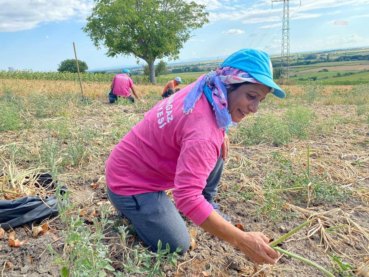 Lüleburgaz Belediyesi İhtiyaç Sahipleri İçin Soğan Dökümü Yaptı