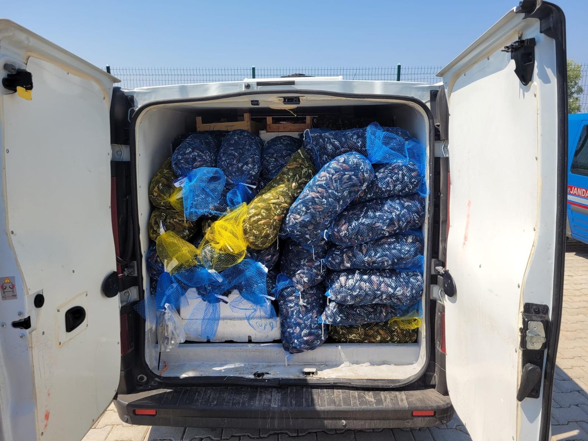 Muğla\'da kaçak midye ve balık taşıyan kişiye 10 bin 711 lira ceza
