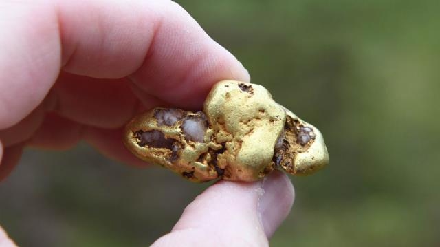 Nehirde sırt üstü yüzen adamın eline dünyanın en büyük altın parçalarından biri çarptı