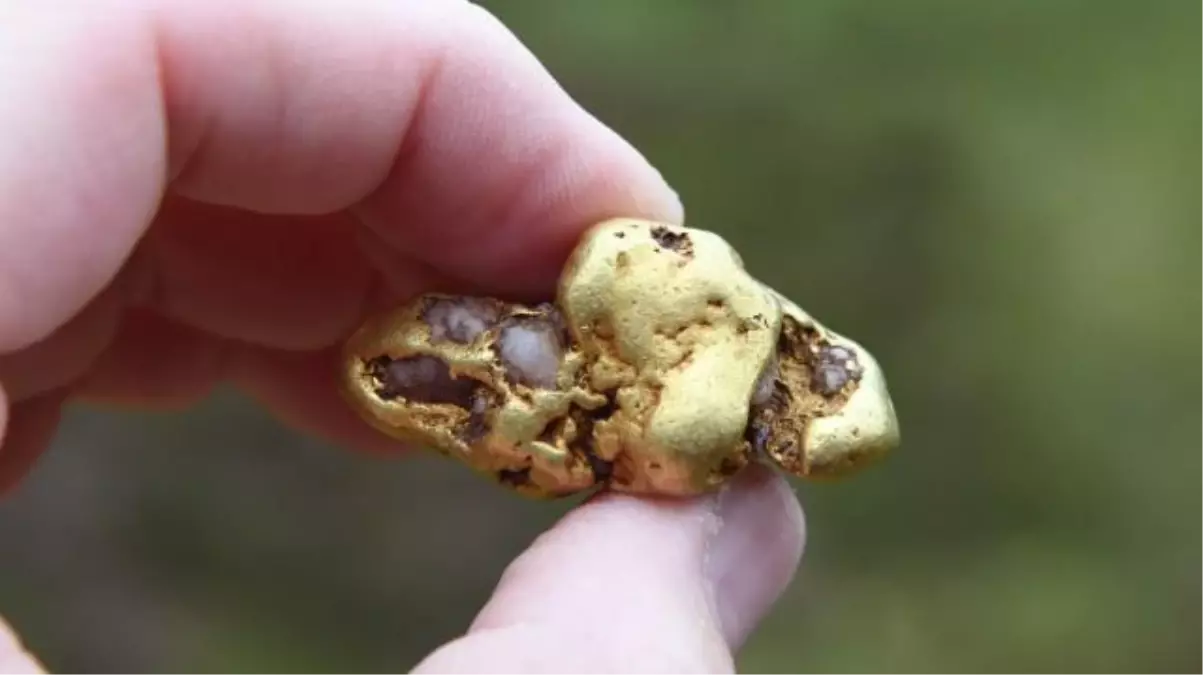 Nehirde yüzen adamın dünyanın en büyük altın parçalarından birini bulması üzerine ekipler bölgeye akın etti