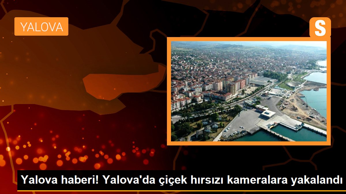 Yalova\'da çiçek hırsızı kameralara yakalandı