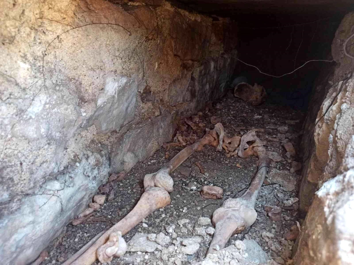 30 yıl önce vefat eden kuzeninin mezarını ararken bin 500 yıllık Bizans mezarını buldu