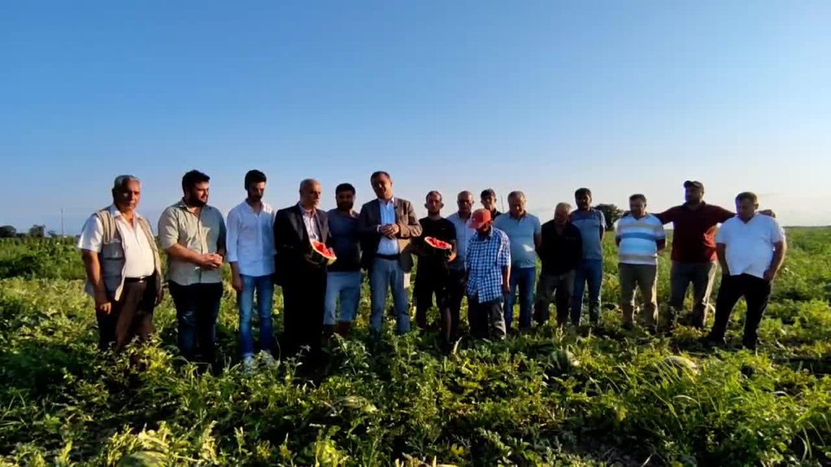 CHP Samsun İl Başkanı Fatih Türkel: "6-7 Bin Dönüm Karpuz Tarlada Kalmış Durumda"