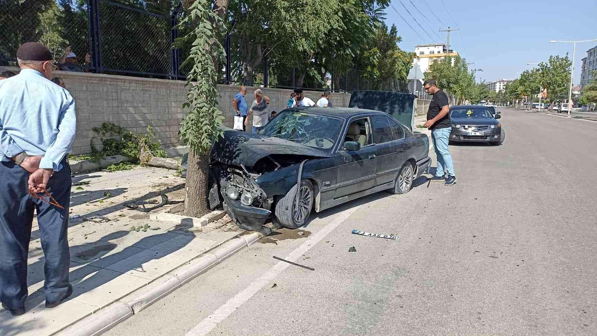 Elazığ\'da otomobil ağaca çarptı: 1 yaralı