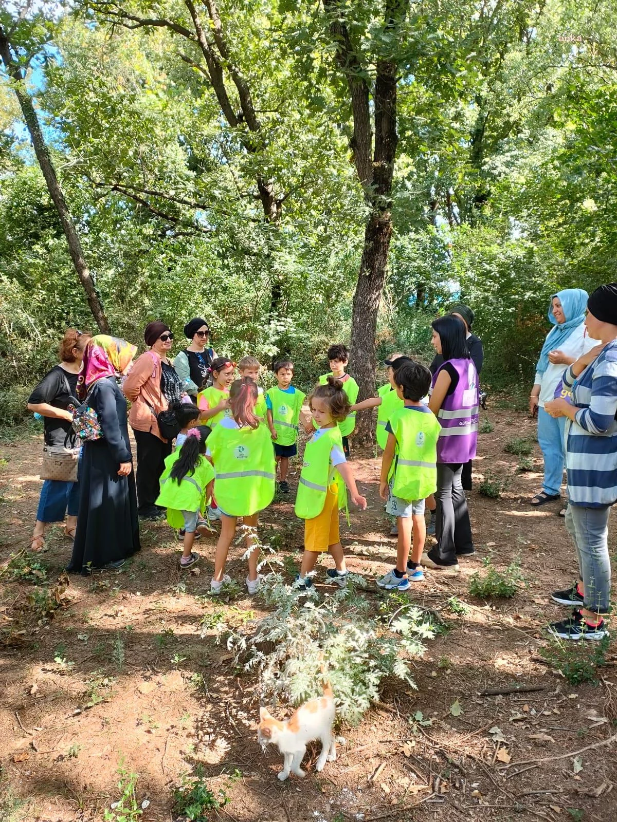 İzmit Belediyesi Çocuklar İçin Doğa Atölyeleri Düzenliyor