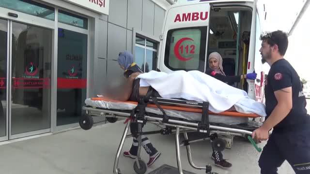 Konya\'da kayısı ağacından düşen kişi yaralandı