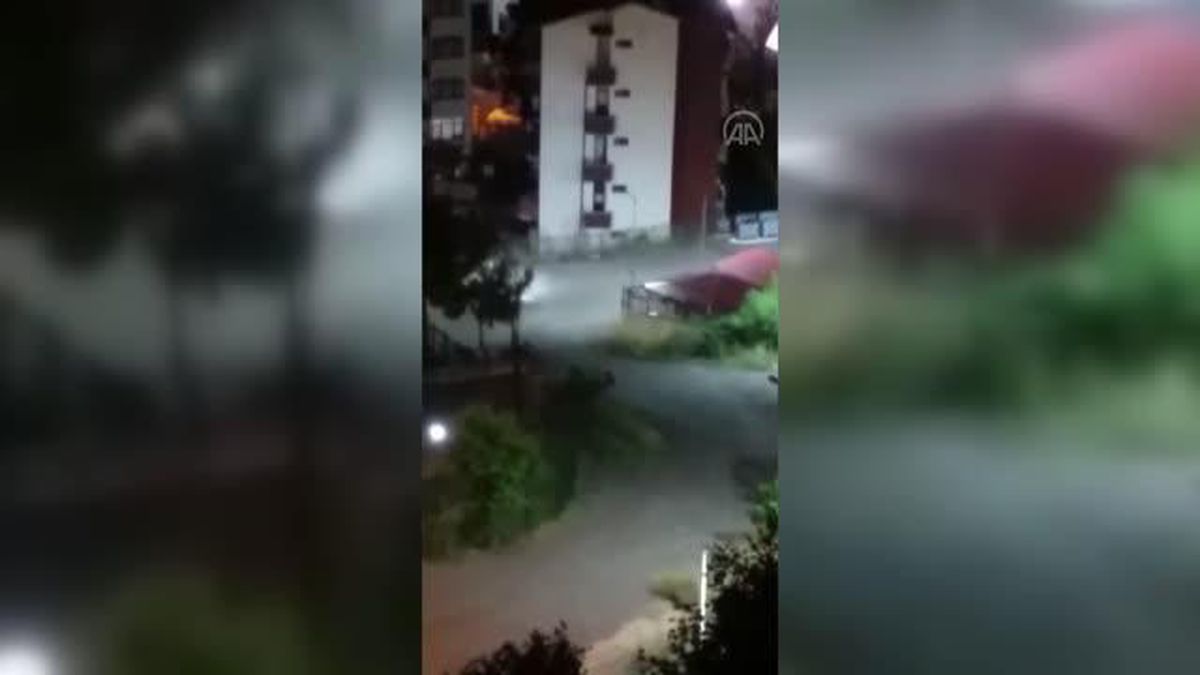 Rize\'de mahalleye inen ayı görüntülendi