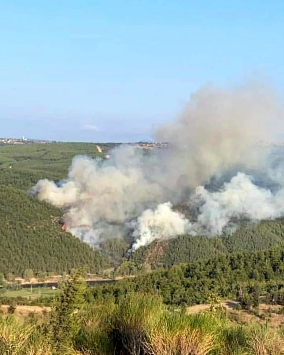 Balıkesir Susurluk\'taki orman yangını kontrol altında