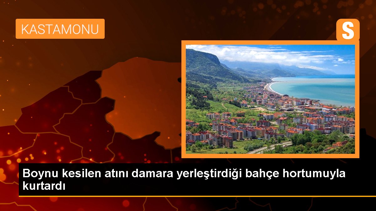 Boynu kesilen atını damara yerleştirdiği bahçe hortumuyla kurtardı