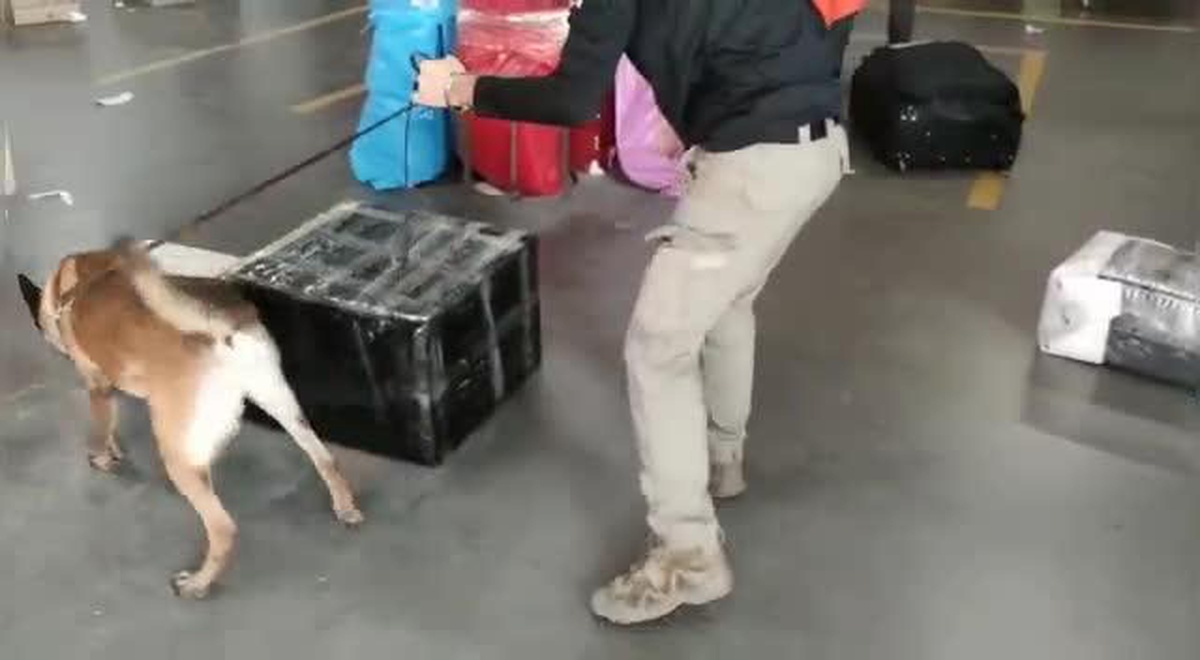 Ekmek Dilimleme Makinesinden 75 Bin Adet Uyuşturucu Hap Çıktı