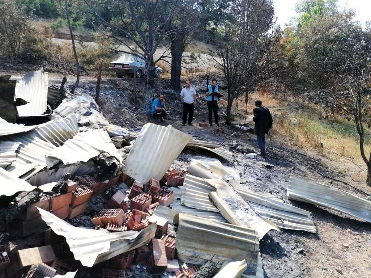 Emet\'te orman yangını sonrası ürünlerde zarar tespit çalışması