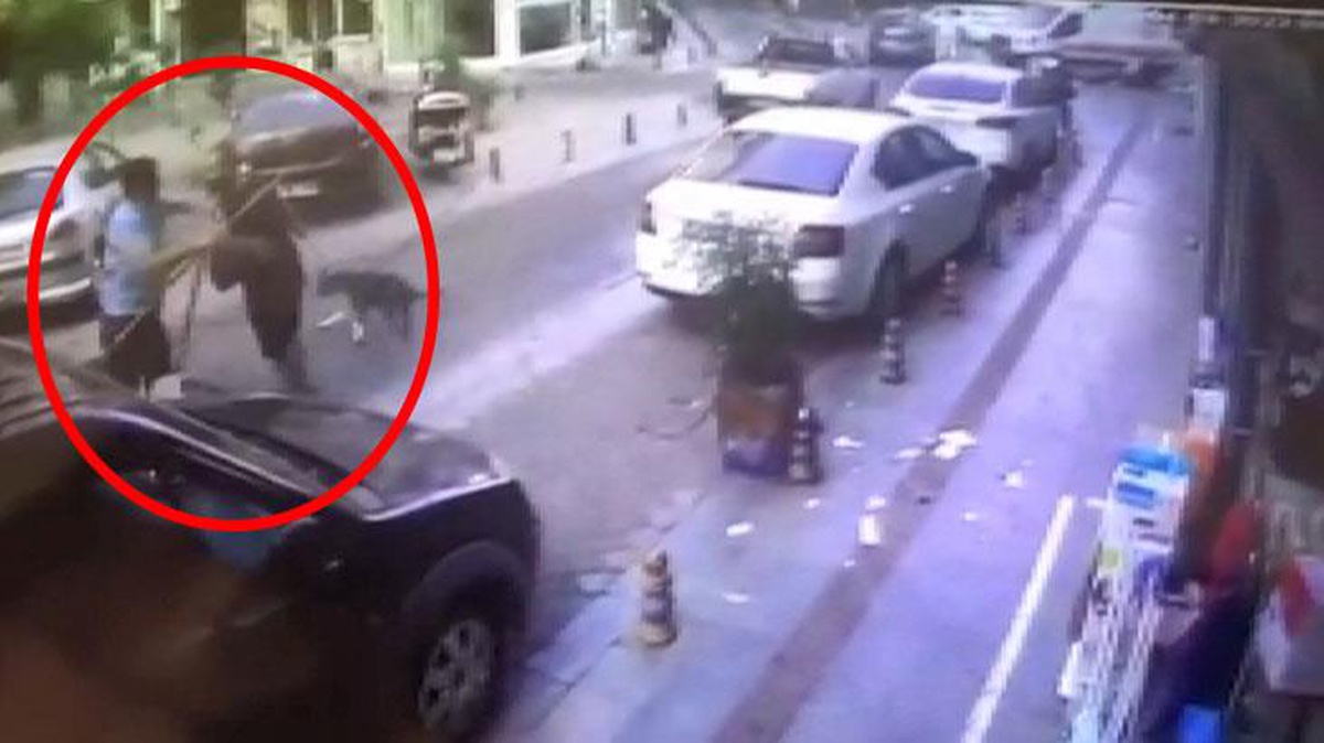 Kadıköy\'de, "Köpeğime toz geldi" diyen şahıs, temizlik işçisinin burnunu kırdı