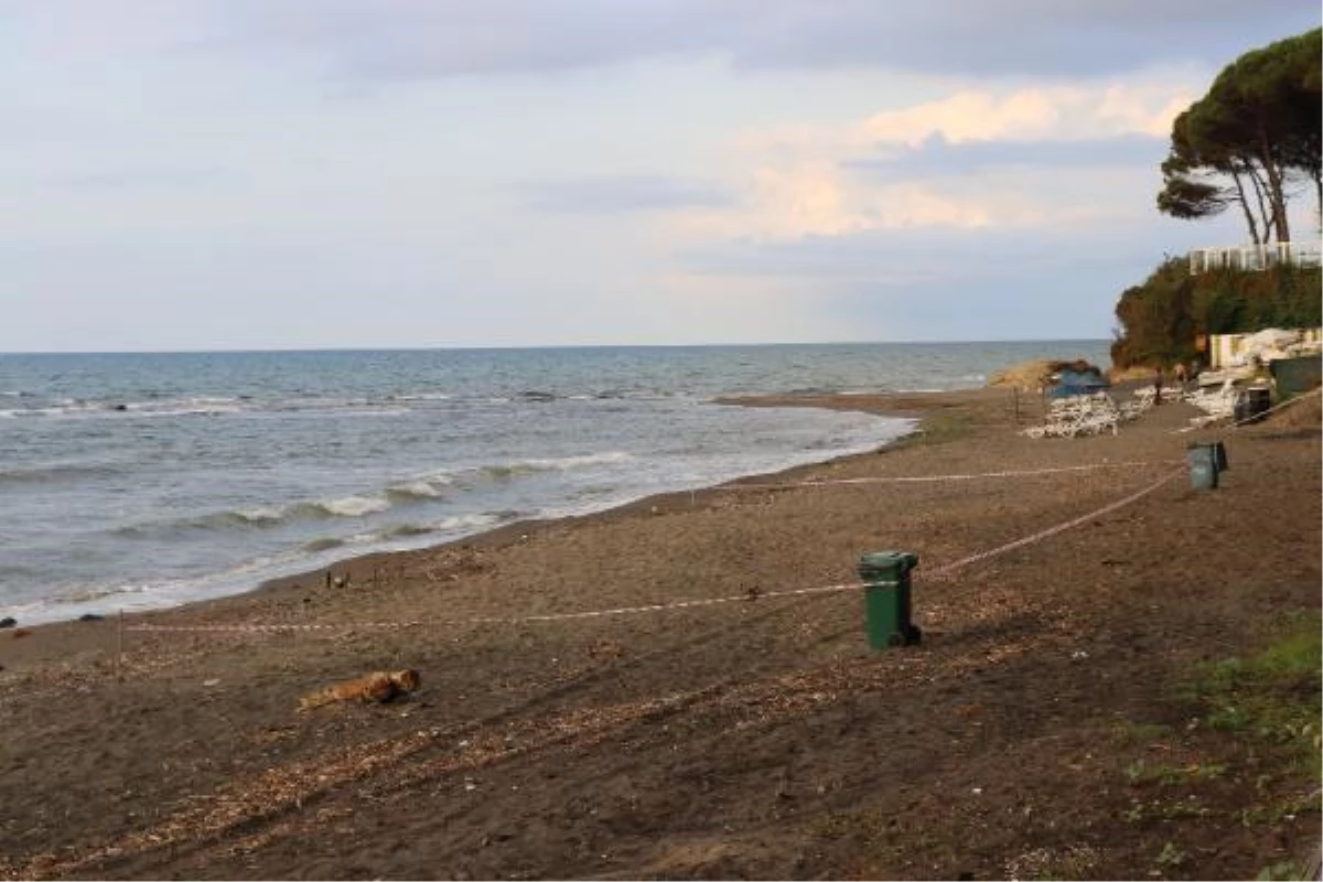 Ordu\'da sahile vuran deniz mayını olduğu tahmin edilen cisim imha edildi