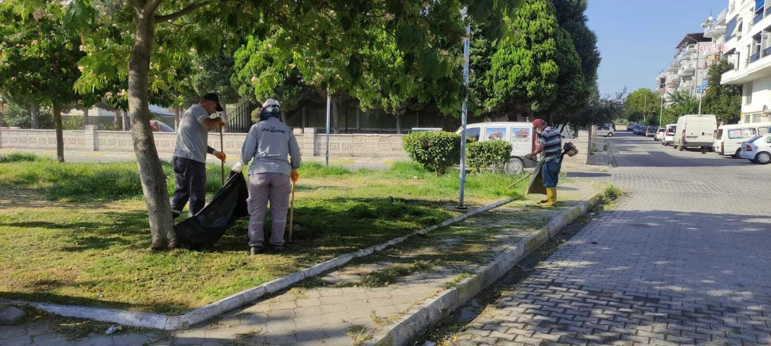 Söke Belediyesi Ekipleri, Parklarda Çalışmalara Devam Ediyor