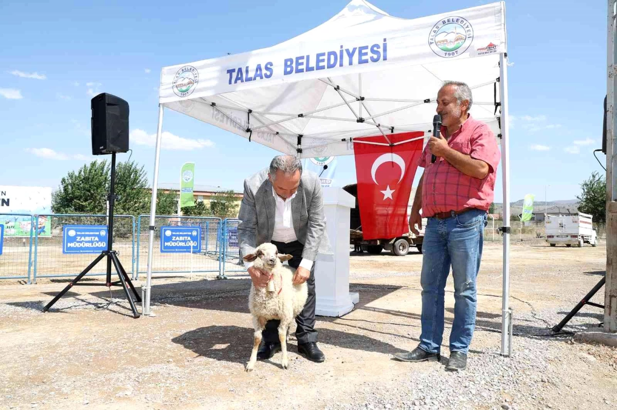 Talas\'ın tarım ve hayvancılığa desteği sürüyor