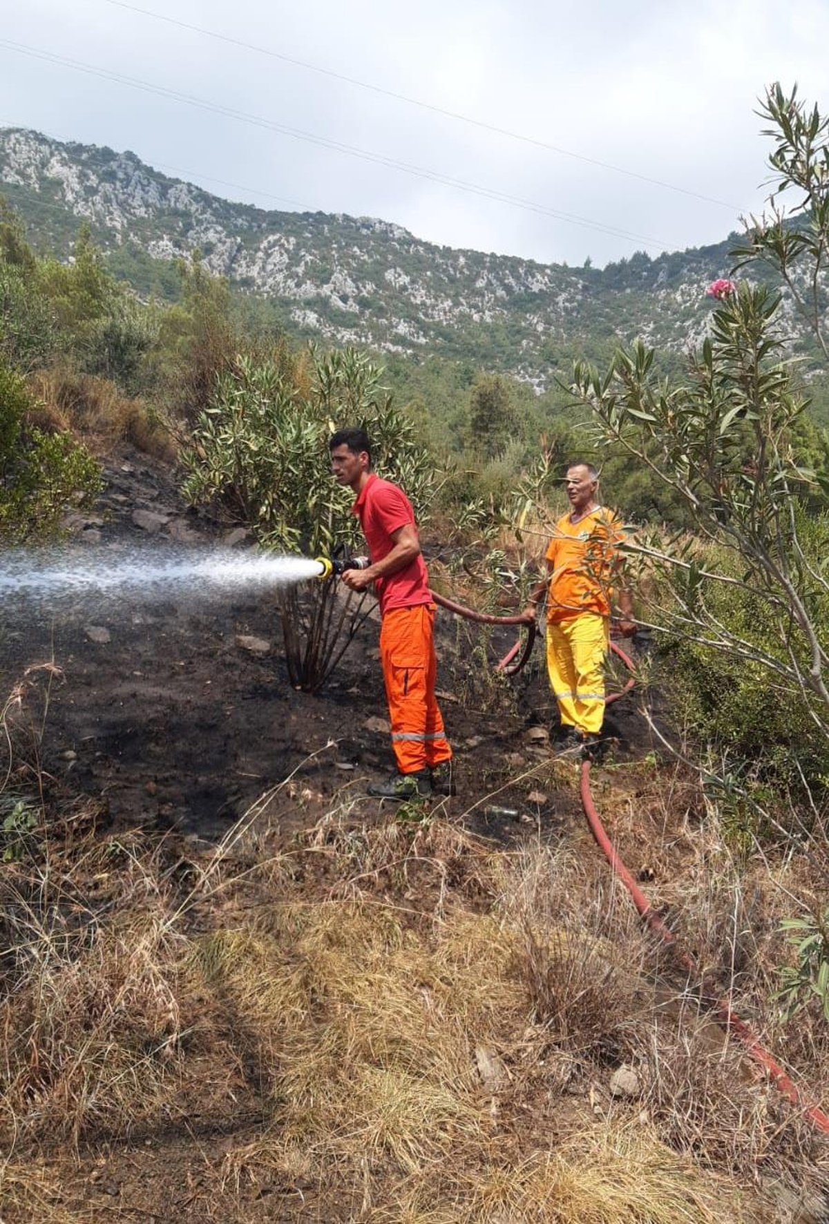 Adana\'da ormanlık alanda çıkan yangın söndürüldü