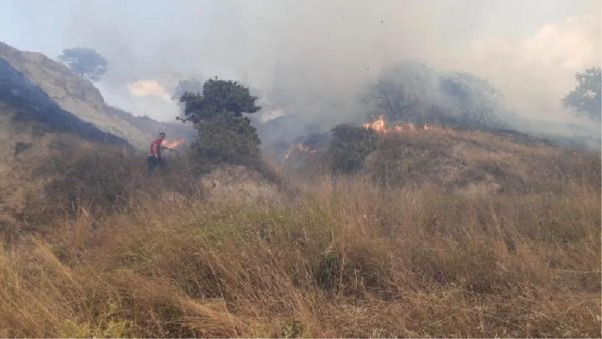 Edirne\'de çıkan orman yangını söndürüldü