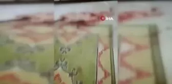 Hatay'da dehşet...Yaşlı kadın akrabası tarafından 34 yerinden bıçaklandı