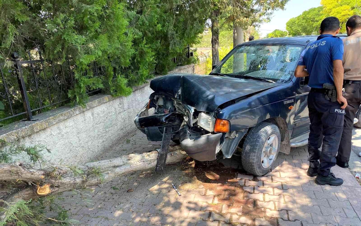 Kontrolden çıkan pikap ağaca çarptı: 2 yaralı