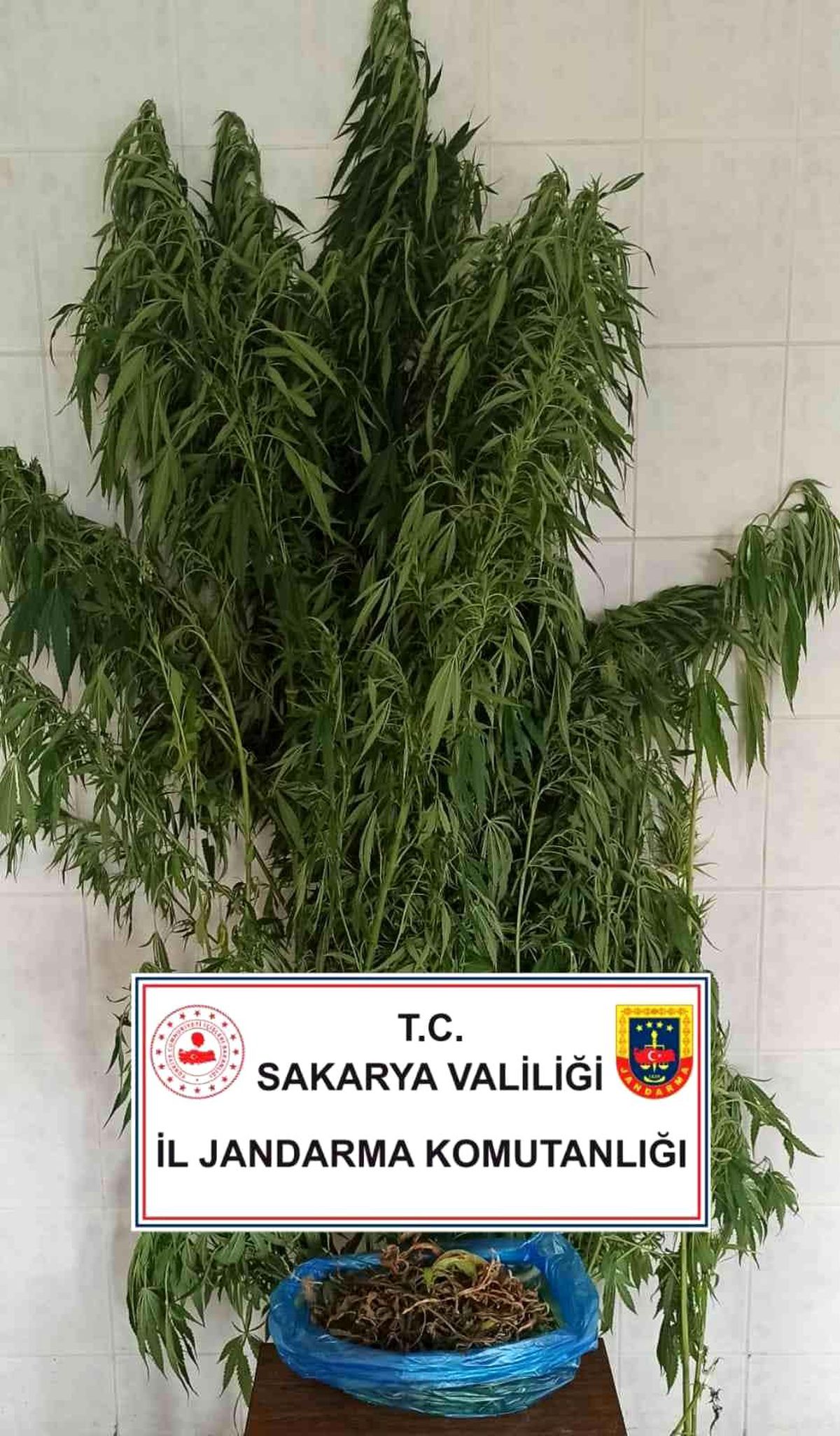 Sakarya\'da jandarma suça geçit vermiyor