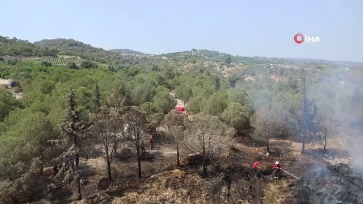 Saman balyaları alev aldı, yangın ormana sıçramadan son anda söndürüldü