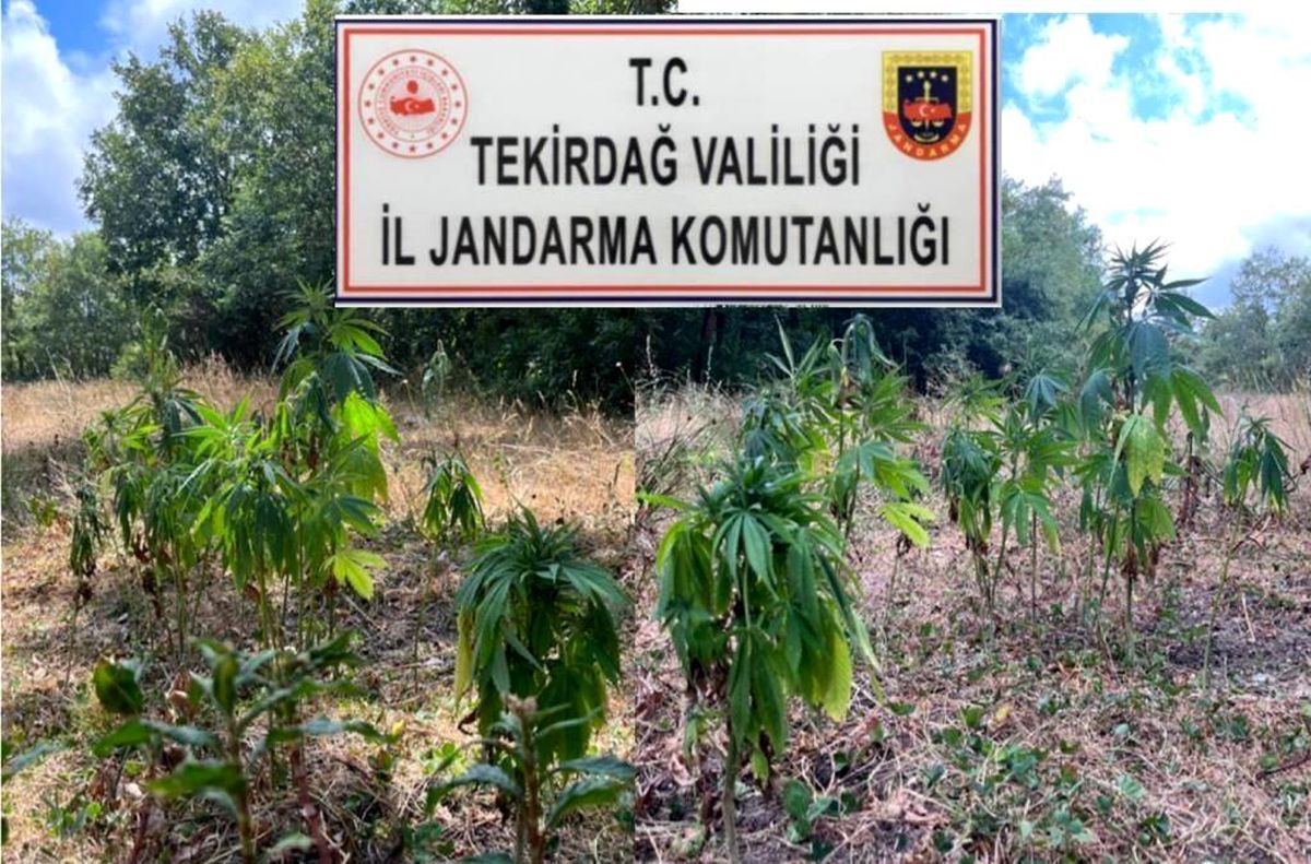 Tekirdağ\'da uyuşturucu operasyonu: 1\'i Gürcistan uyruklu 4 kişi tutuklandı