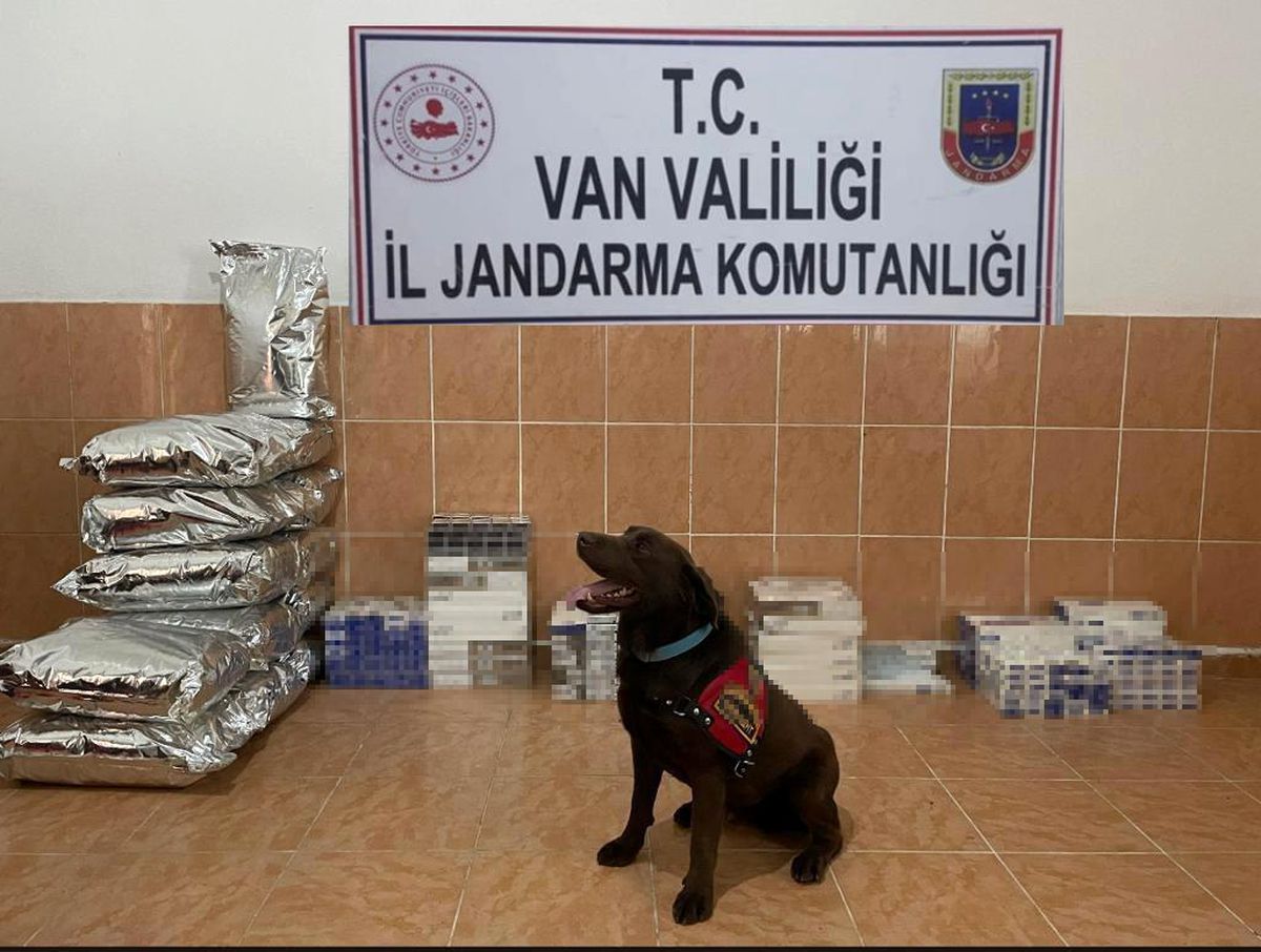 Van\'da iki ayda 12 bin 438 paket kaçak sigara ele geçirildi