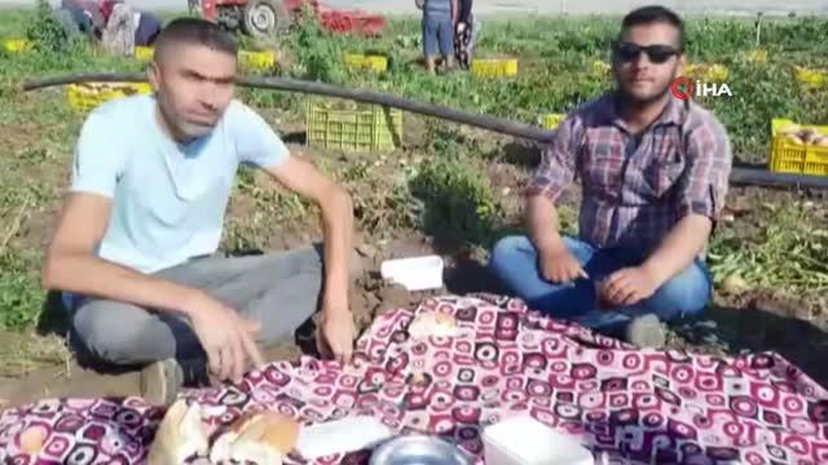 Afyonkarahisar\'da 2 belde ve 16 köyün geçimini sağladığı patateste rekolte yüzleri güldürdü