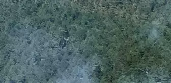 Bursa'da çıkan orman yangını söndürüldü