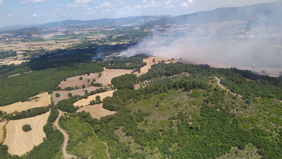Çanakkale\'de çıkan orman yangınına müdahale ediliyor
