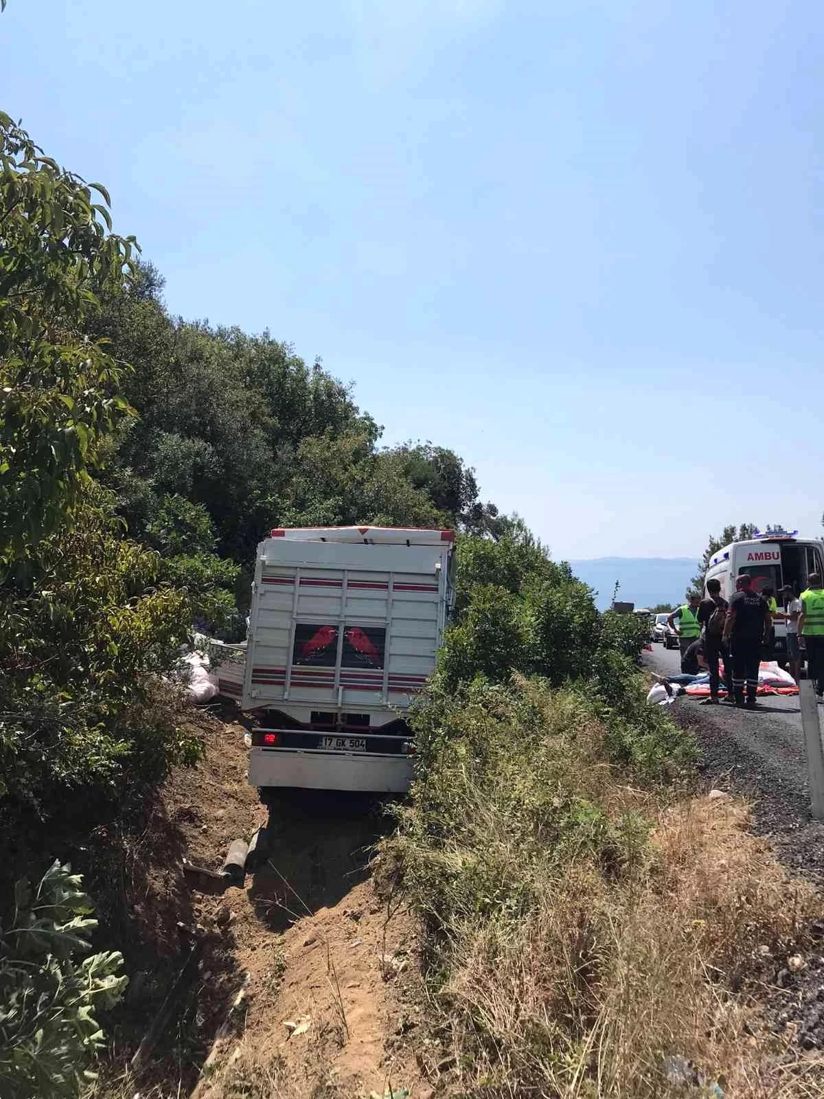 Çanakkale\'de kamyon şarampole uçtu: 2 yaralı