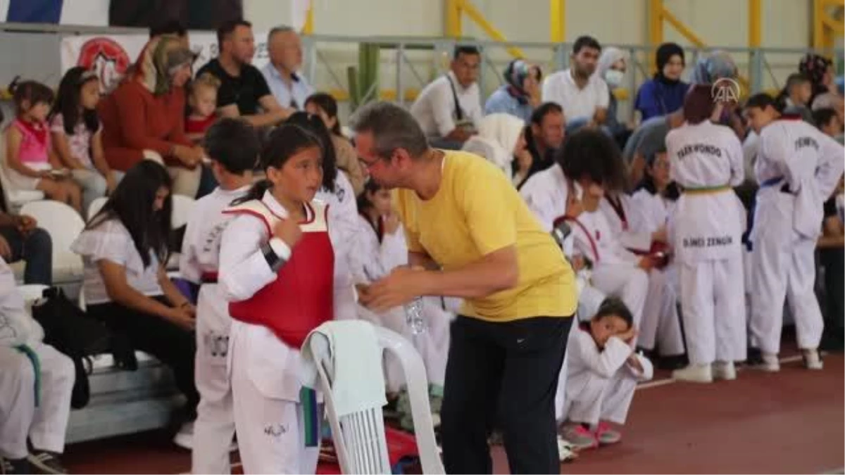 Ankara\'da "Çubuk Belediyesi Şehitleri Anma Tekvando Turnuvası" düzenlendi