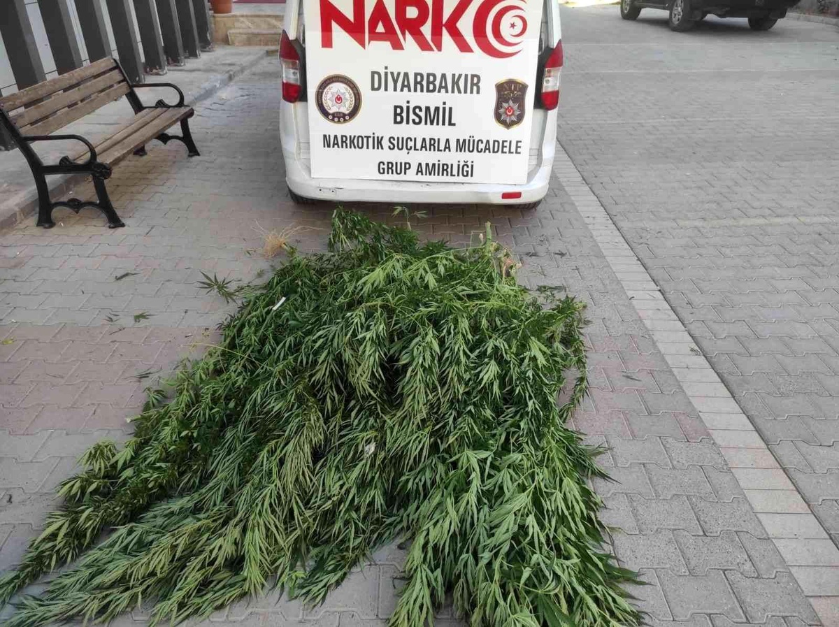 Diyarbakır\'da \'huzur uygulaması\': Silah ve uyuşturucu ele geçirildi