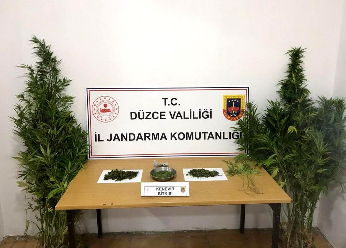 Düzce\'de 51 şüpheli yakalandı