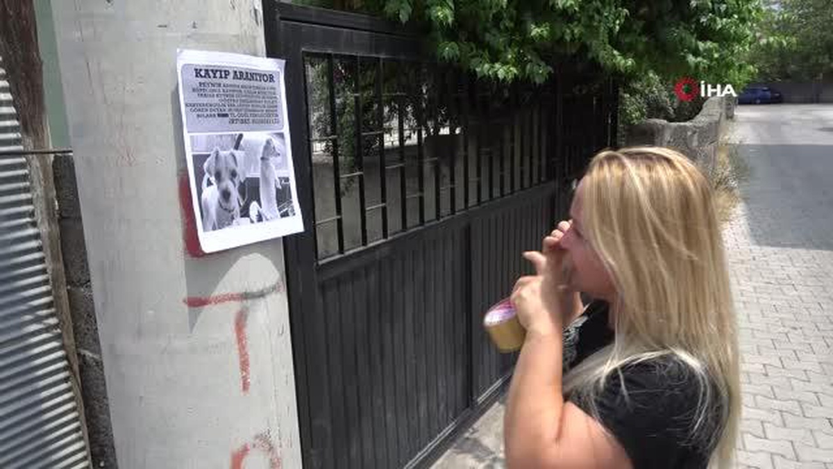 Evladım dediği Peynir\'i bulup getireni ödüllendirecek