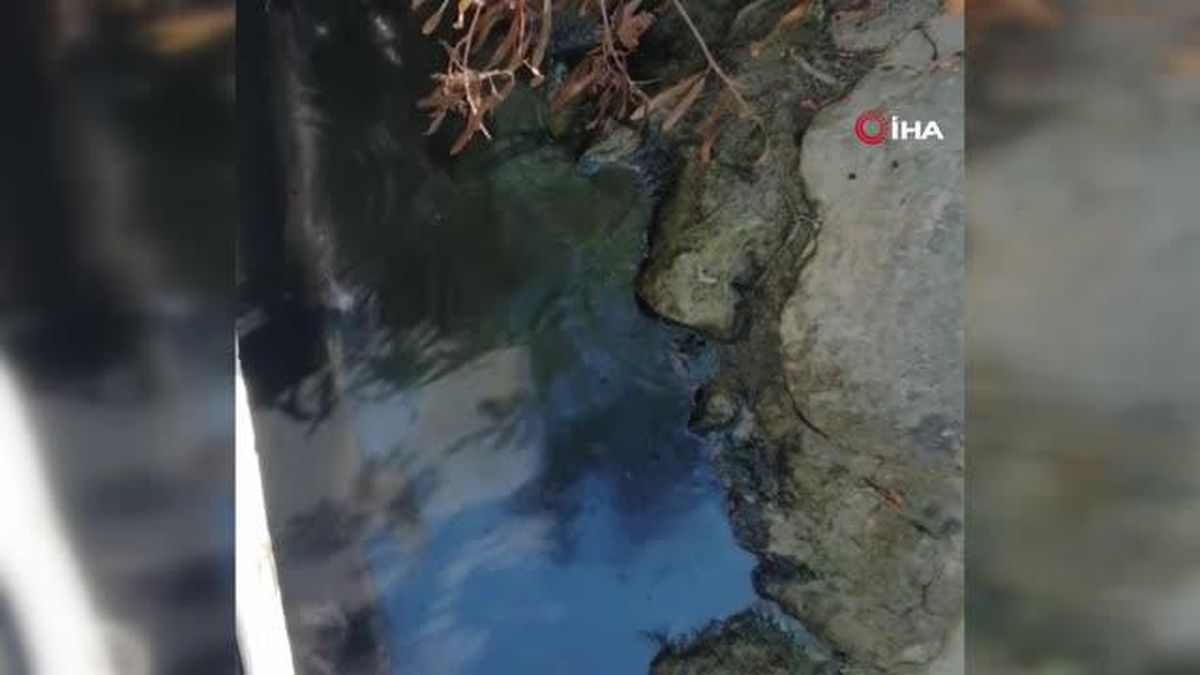 Manavgat Irmağı\'nda tepki çeken görüntü: Teknelerin konuşlandığı bölge siyaha büründü