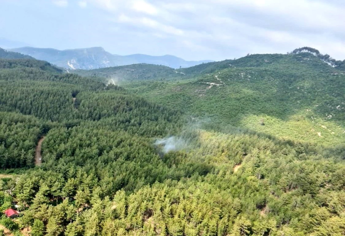 Osmaniye\'deki orman yangını kontrol altına alındı