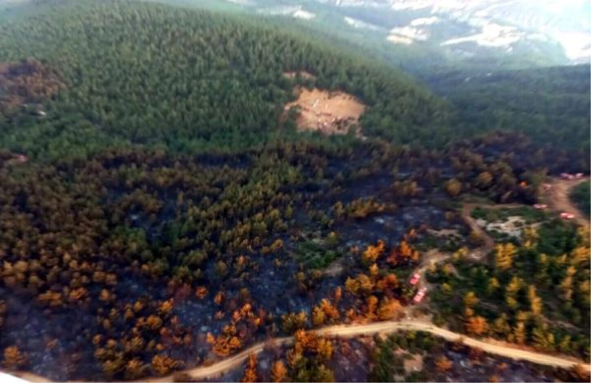 Soma\'daki orman yangını 12 saatte kontrol altında (2)