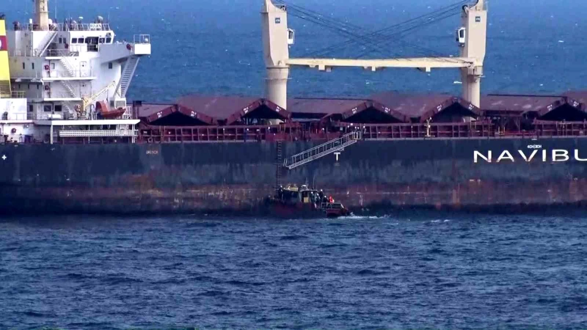 Ukrayna\'dan gelen tahıl gemileri İstanbul Boğazı girişinde kontrol ediliyor