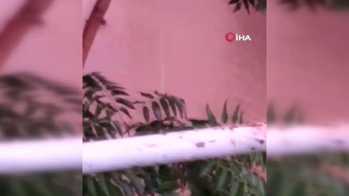 Uşak\'ta şiddetli yağış sonrasında su baskınları yaşandı