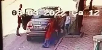 Yavru kediyi sokağa atan kadına 2 bin 724 lira ceza