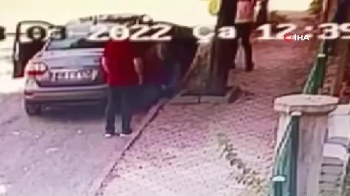 Yavru kediyi sokağa attı, 2 bin 724 lira ceza yedi