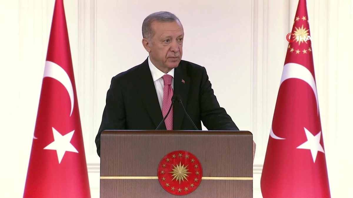 Cumhurbaşkanı Erdoğan, büyükelçiler onuruna verdiği yemekte konuştu: (2)