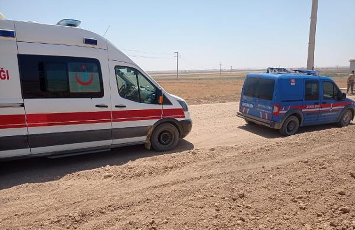 Şanlıurfa\'da boş arazide parçalanmış erkek cesedi bulundu