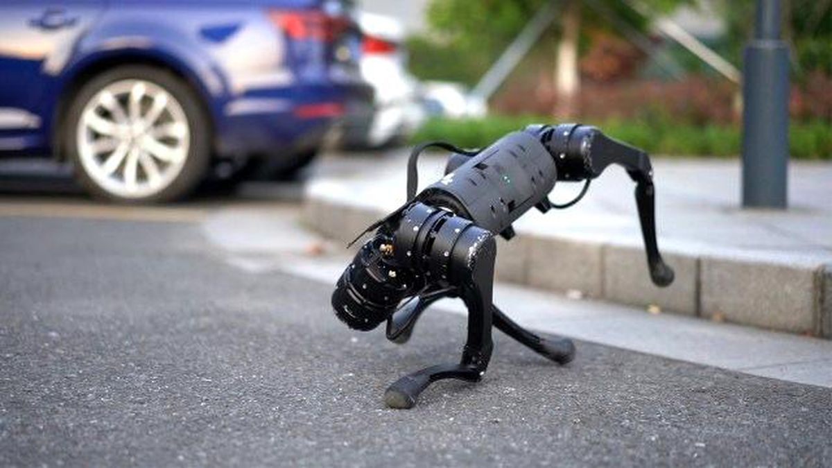 ABD\'li araştırmacılar "en akıllı" robot köpeği geliştirdi